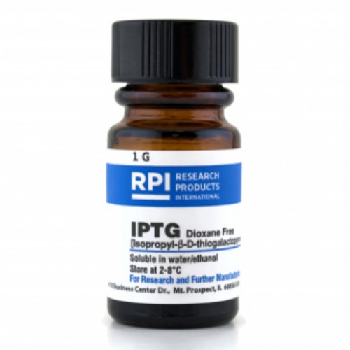 IPTG 1G - 단백질 발현실험
