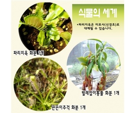 식충식물3종 - 식물의세계